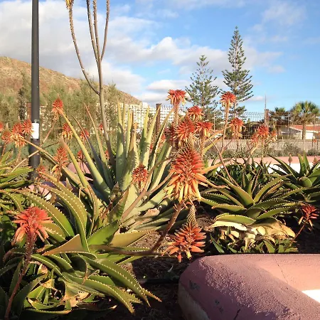 Orlando Apartment Costa Adeje (Tenerife)