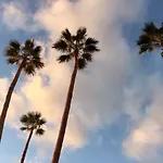 Orlando Costa Adeje (Tenerife)